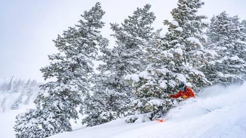 Powder Skiing at Deer Valley Resort