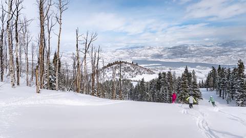 Three skiers skiing fresh powder at Deer Valley