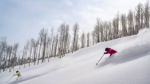 Two skiers skiing fresh powder in advanced terrain at Deer Valley