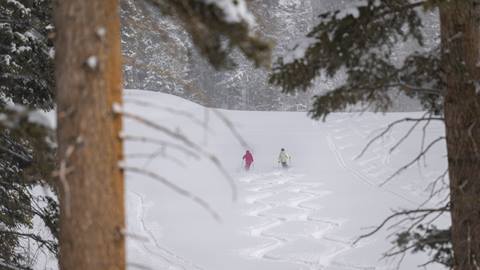 Two skiers carving fresh tracks during cat skiing at Deer Valley