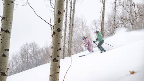 Two woman skiing fresh powder through aspen trees at Deer Valley