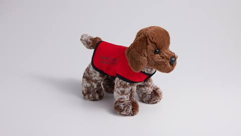 Deer Valley avalanche dog stuffed animal.