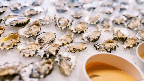 Oysters at Cast & Cut | Seafood Dining.