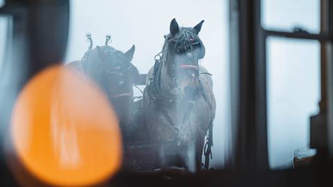 Horses outside of Fireside Dining.