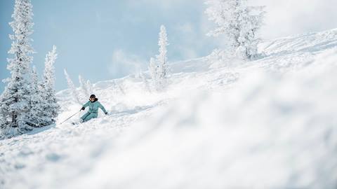 Guest skiing at Deer Valley Resort