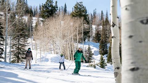 Deer Valley Private Ski Lesson with adult couple