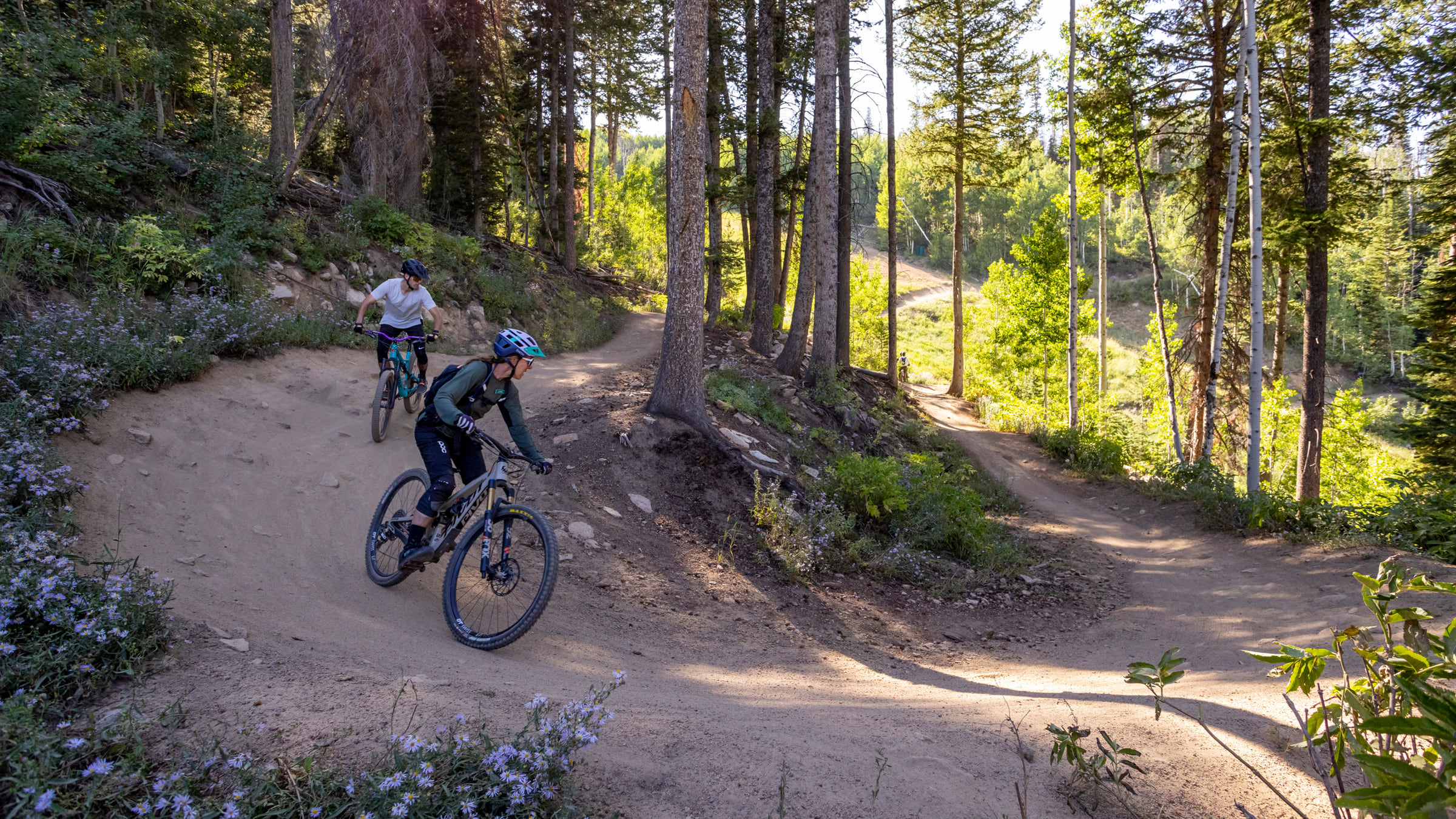 Mountain biking deer online valley