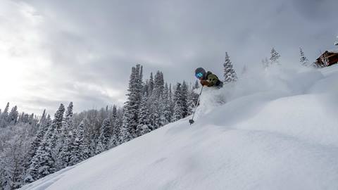 Guest powder skiing at Deer Valley.