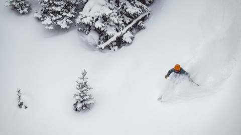 Advanced skier skiing at Deer Valley on a powder day.