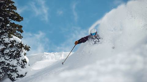 Guest skiing deep powder at Deer Valley.