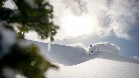 Guest skiing powder at Deer Valley.