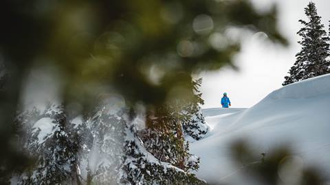 Guest at the top of a run on a powder day at Deer Valley.