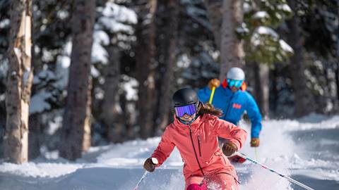 Guests skiing powder through the trees at Deer Valley.