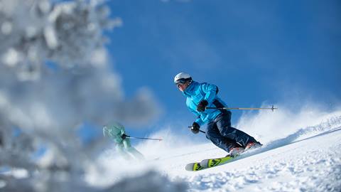 Two guests skiing near trees at Deer Valley.