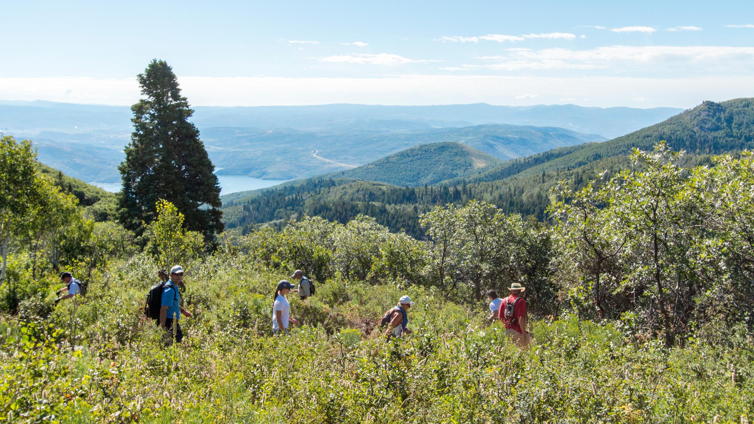 Hiking in Park City, UT | Deer Valley Resort